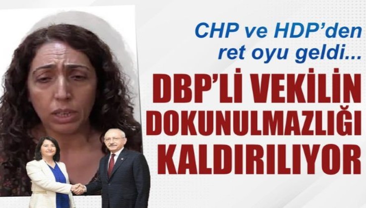 CHP ve HDP'den ret oyu