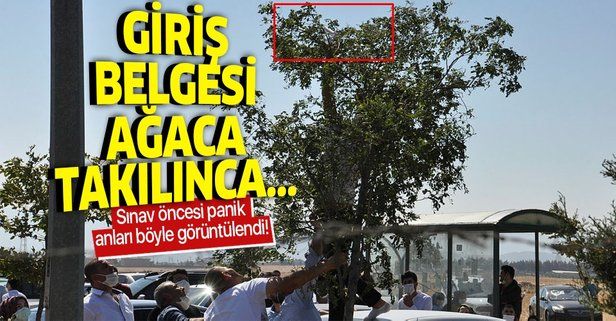 Gaziantep'te ilginç olay: Rüzgarın uçurduğu YKS giriş belgesi ağacın dalına takıldı