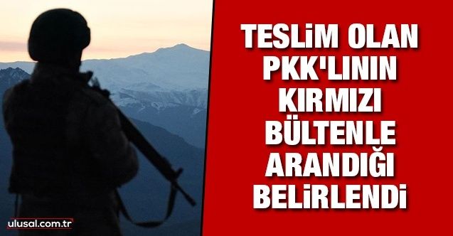 Teslim olan PKK'lının kırmızı bültenle arandığı belirlendi
