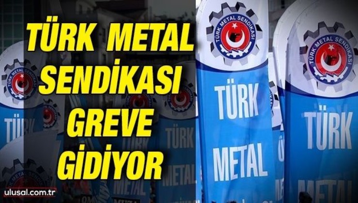 Türk Metal Sendikası greve gidiyor
