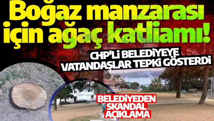 Boğaz manzarası için ağaç katliamı! CHP'li belediyeye vatandaşlar tepki gösterdi