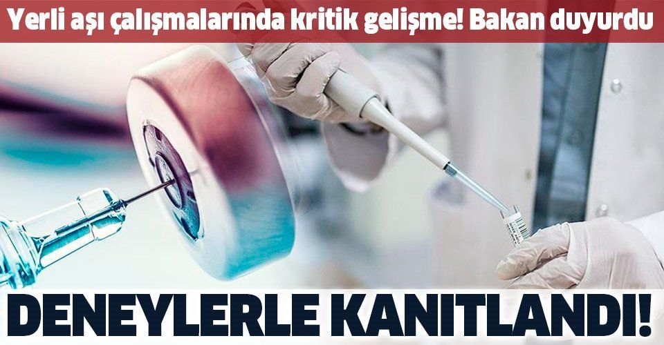 SON DAKİKA: Bakan Varank'tan Kovid19 aşı çalışmalarıyla ilgili flaş açıklama: Bilim insanlarımız deneylerle kanıtladı