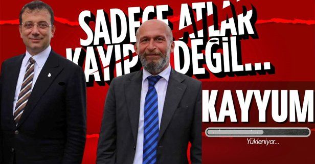 HDP yanlısı başkan için yolun sonu: Adalar Belediyesi'ne kayyum atanabilir! Sadece atlar değil araçlar da kayıp