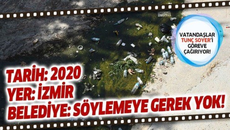 Vatandaşlar Tunç Soyer'i göreve çağırdı! İzmir'in çöp sorununa haşere de eklendi