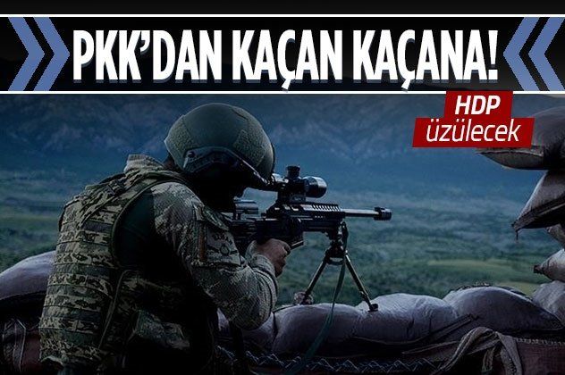 Son dakika: İçişleri Bakanlığı duyurdu: 5 PKK'lı terörist teslim oldu