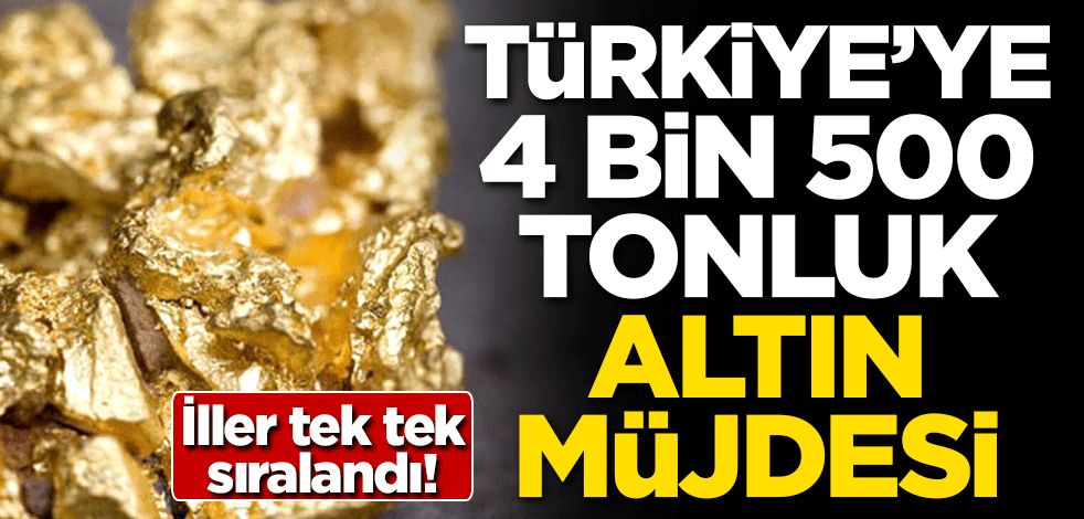 İller tek tek sıralandı! Türkiye'ye 4 bin 500 tonluk altın müjdesi