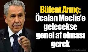 Arınç hükümeti eleştirdi, Özer'e sahip çıktı: 694 kez PKK'lı teröristlerle görüşmesi 'suç' olamazmış!