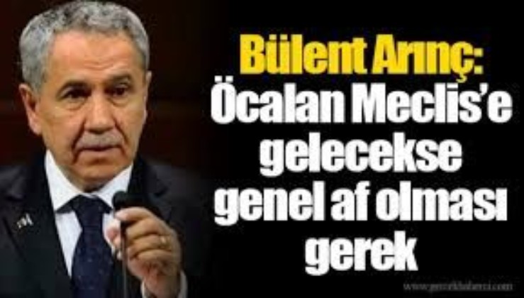 Arınç hükümeti eleştirdi, Özer'e sahip çıktı: 694 kez PKK'lı teröristlerle görüşmesi 'suç' olamazmış!