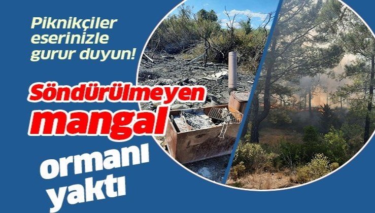 Manavgat'ta söndürülmeyen mangal ateşi, ormanı yaktı