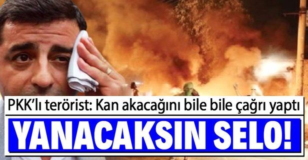 PKK'lı terörist, Selahattin Demirtaş'ın ölümlerin yaşanacağını bile bile başkaldırı çağrısı yaptığını itiraf etti