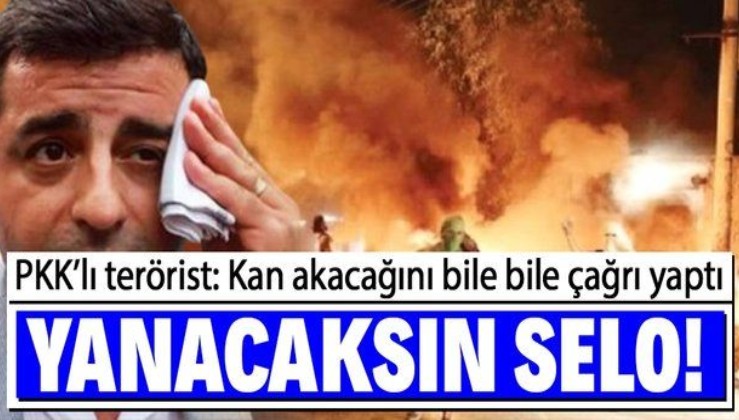 PKK'lı terörist, Selahattin Demirtaş'ın ölümlerin yaşanacağını bile bile başkaldırı çağrısı yaptığını itiraf etti