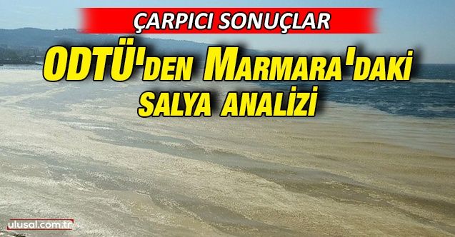 ODTÜ'den Marmara'daki salya analizi
