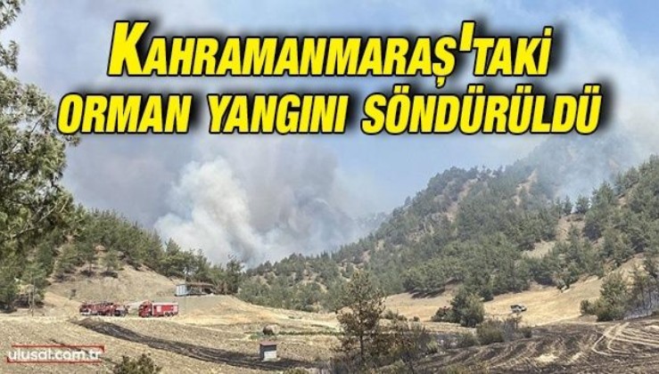 Kahramanmaraş'ta orman yangını: Yangın söndürüldü
