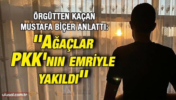 Örgütten kaçan Mustafa Biçer anlattı: ''Ağaçlar PKK'nın emriyle yakıldı''