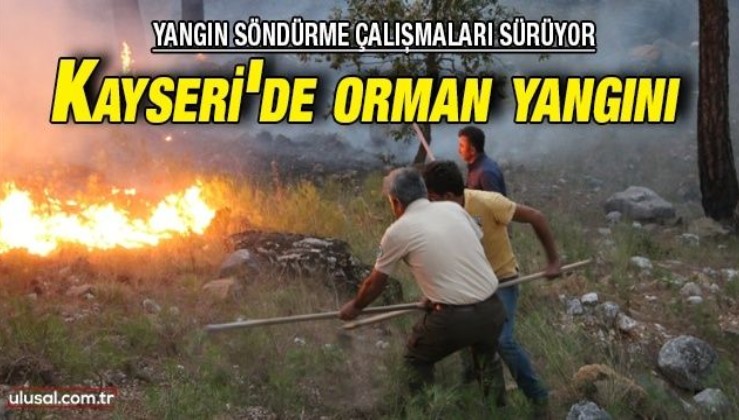 Kayseri'de orman yangını: Söndürme çalışmaları devam ediyor