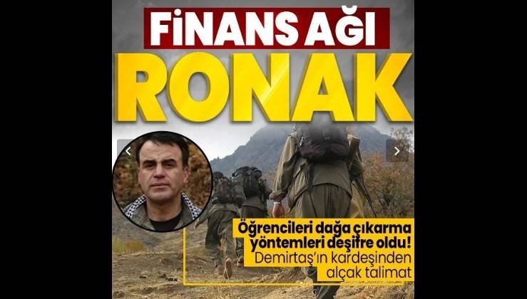 Terör örgütü PKK'nın öğrencileri dağa kaçırma yöntemi deşifre oldu! Finans ağı: Ronak