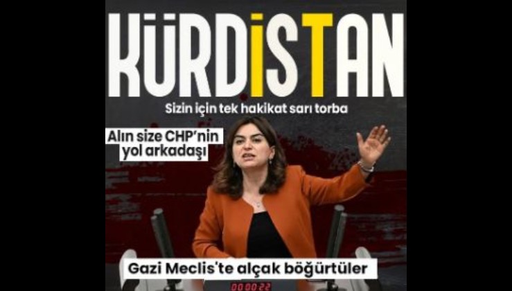 PKK'nın siyasi uzantısı HDP/DEM'den Meclis'te alçak sözler! "Biz Kürdistan diyoruz ve demeye devam edeceğiz"