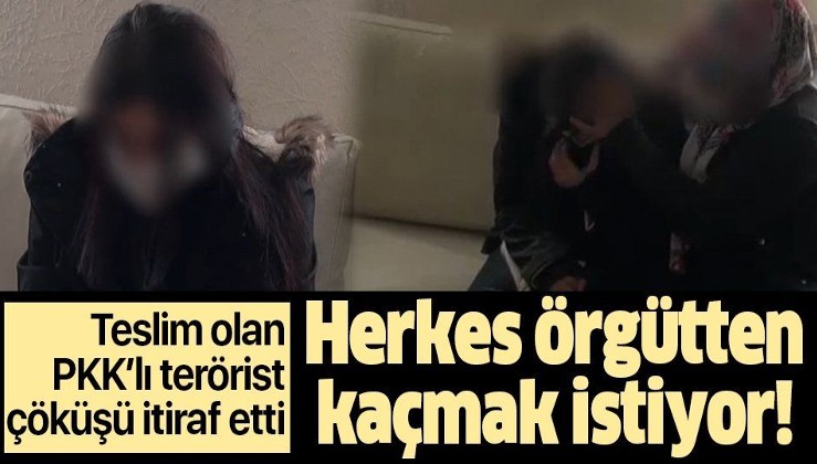 SON DAKİKA: İkna edilerek teslim olan PKK'lı kadın ailesiyle buluştu: Herkes kaçmaya çalışıyor
