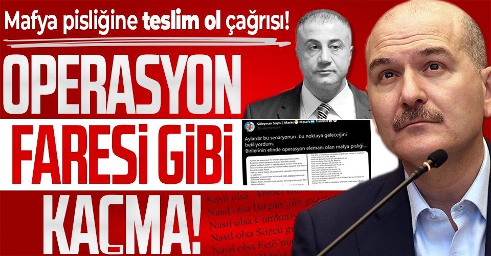 İçişleri Bakanı Süleyman Soylu'dan firari Sedat Peker'e teslim ol çağrısı: Operasyon faresi gibi kaçma