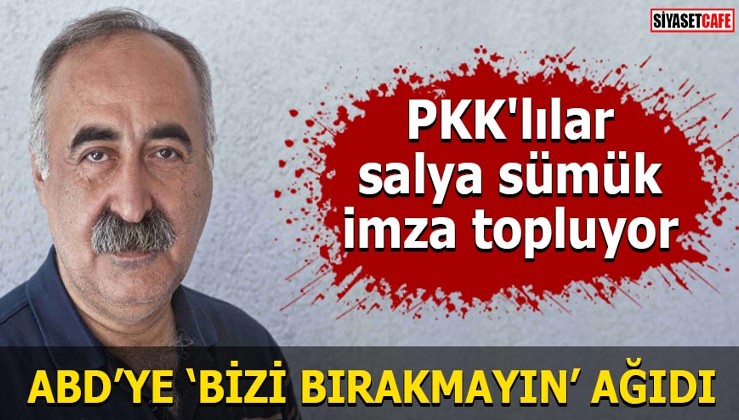 PKK'lılar salya sümük imza topluyor ABD'ye 'Bizi bırakmayın' ağıdı