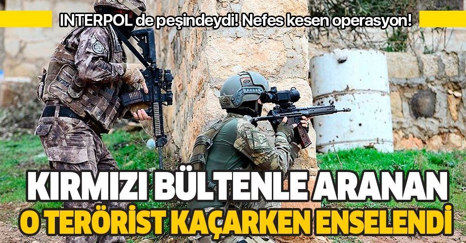 Son dakika: Kırmızı bültenle aranan PKK'lı terörist Sabri Dal yakalandı