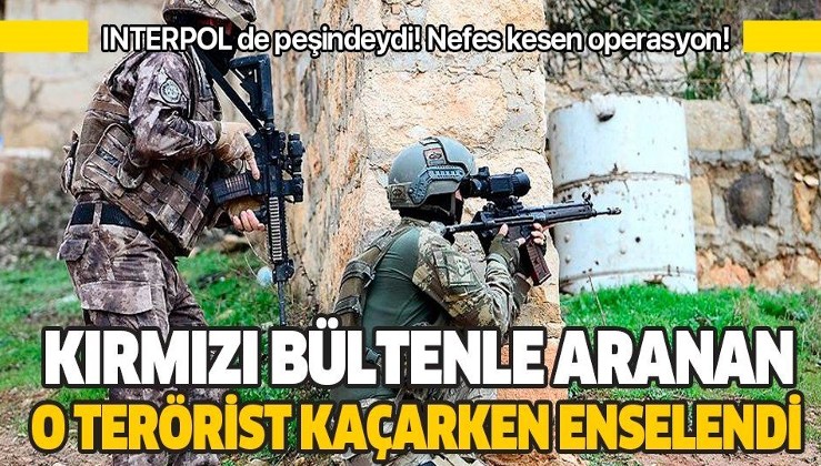 Son dakika: Kırmızı bültenle aranan PKK'lı terörist Sabri Dal yakalandı