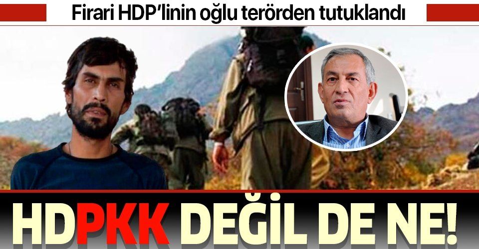 Son dakika: Firari eski HDP milletvekili Demir Çelik'in oğlu "Savaş" kod adlı terörist Yoldaş Selim Çelik tutuklandı