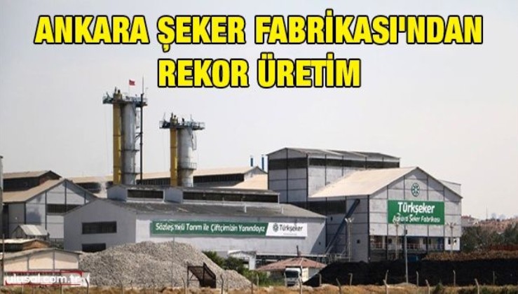 Ankara Şeker Fabrikası'ndan rekor üretim