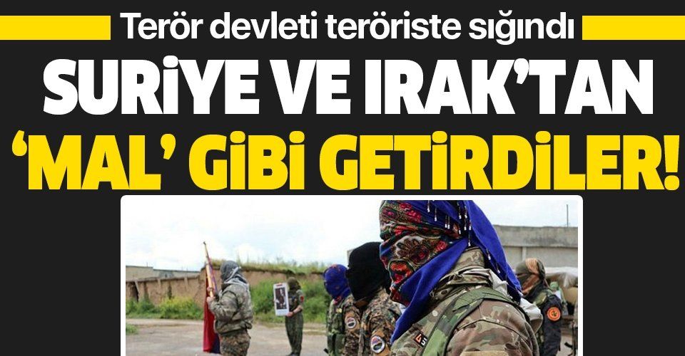 Terör devleti Ermenistan terörist PKK'ya sığındı! Suriye ve Irak'tan 'mal' gibi getirdiler