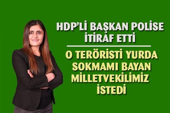 Teröristi yurda sokan HDP'li, emri veren milletvekilinin ismini verdi