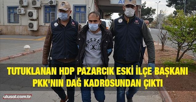 Tutuklanan HDP Pazarcık eski İlçe Başkanı PKK'nın dağ kadrosundan çıktı