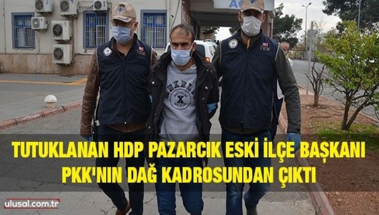 Tutuklanan HDP Pazarcık eski İlçe Başkanı PKK'nın dağ kadrosundan çıktı