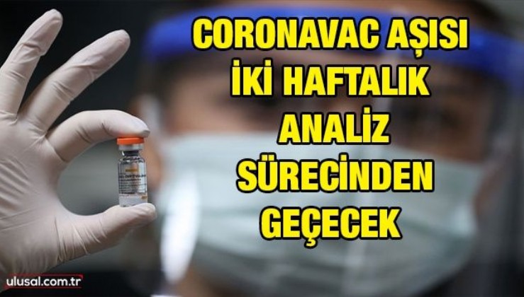 Türkiye'ye getirilen 6,5 milyon doz CoronaVac aşısı iki haftalık analiz sürecinden geçecek