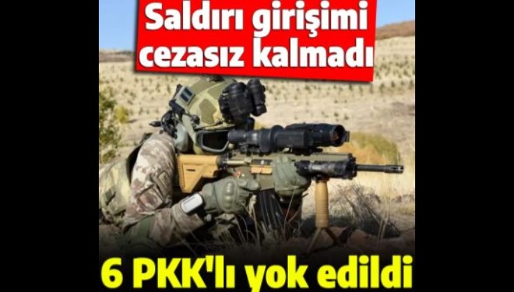 Son dakika: Saldırı girişimi cezasız kalmadı 6 PKK'lı yok edildi
