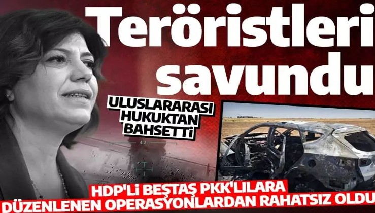 HDP'li Beştaş milletin meclisinde teröristleri savundu: 'SİHA'larla siyasi suikast işlemenin meşruiyeti yoktur'
