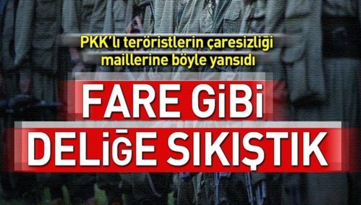 PKK’ya Amanos’ta ağır darbe