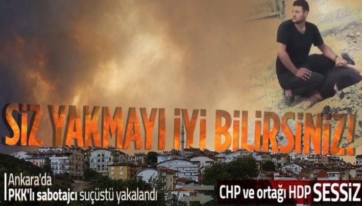 Manavgat, Adana, Mersin ve Osmaniye'deki Orman yangınları PKK'nın sabotajı mı? Dikkat çeken detaylar
