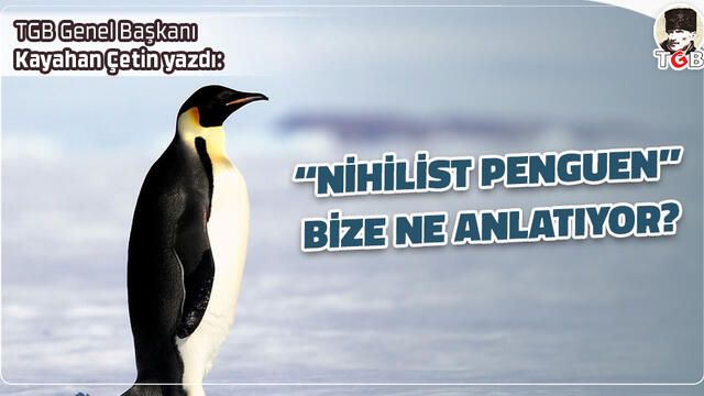 ‘Nihilist penguen’ bize ne anlatıyor