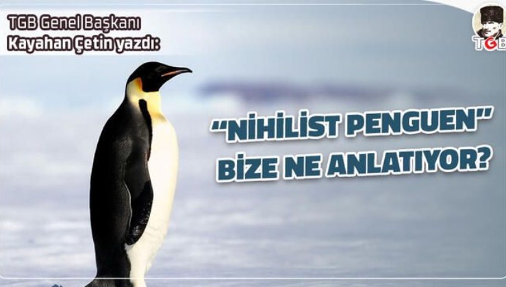 ‘Nihilist penguen’ bize ne anlatıyor