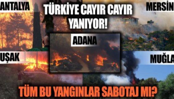 PKK elebaşı Karayılan'ın 'ormanları yakın' talimatı ve yanan ciğerlerimiz tesadüf mü?
