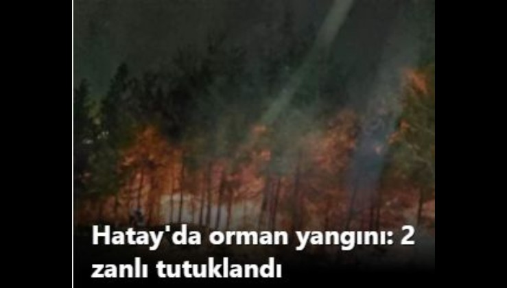 Hatay'da orman yangını: 2 zanlı tutuklandı