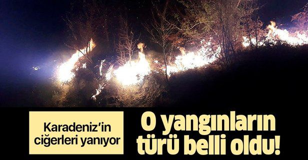 Son dakika: Bakan Pakdemirli'den Karadeniz'deki orman yangınları ile ilgili açıklama