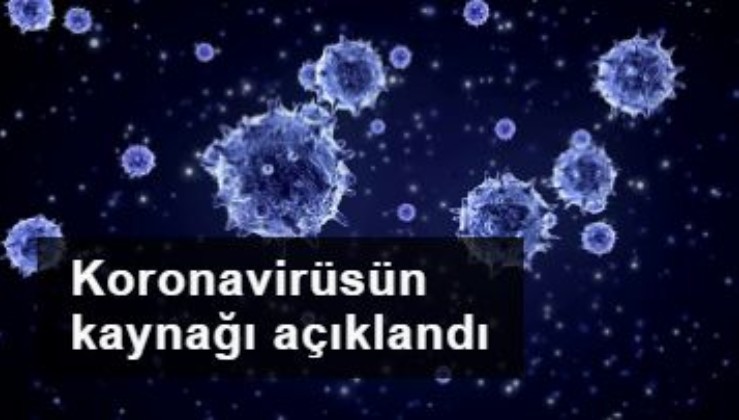 Bilim insanları, koronavirüs salgınına yol açan kaynağı açıkladı