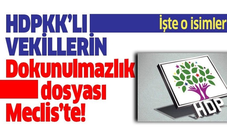 Son dakika: HDP'li vekillerin 30 yeni dokunulmazlık dosyası Meclis'te!