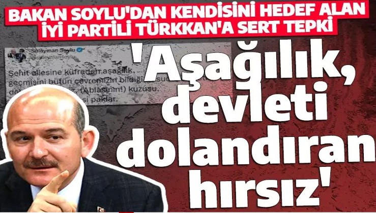Bakan Soylu'dan İYİ Partili Türkkan'a sert tepki! 'Aşağılık, devleti dolandıran hırsız'