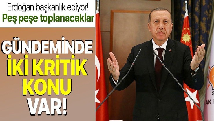 Erdoğan'ın gündemi yoğun! Masada kongreler ve İstanbul Sözleşmesi var