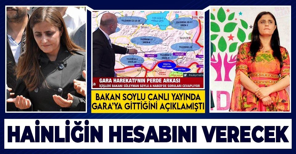 Son dakika: Gara'ya giden HDP'li Dirayet Dilan Taşdemir hakkında terör soruşturması