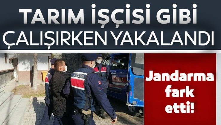 Son dakika: Terör örgütüne bir darbe daha! Ankara'da yakalandı