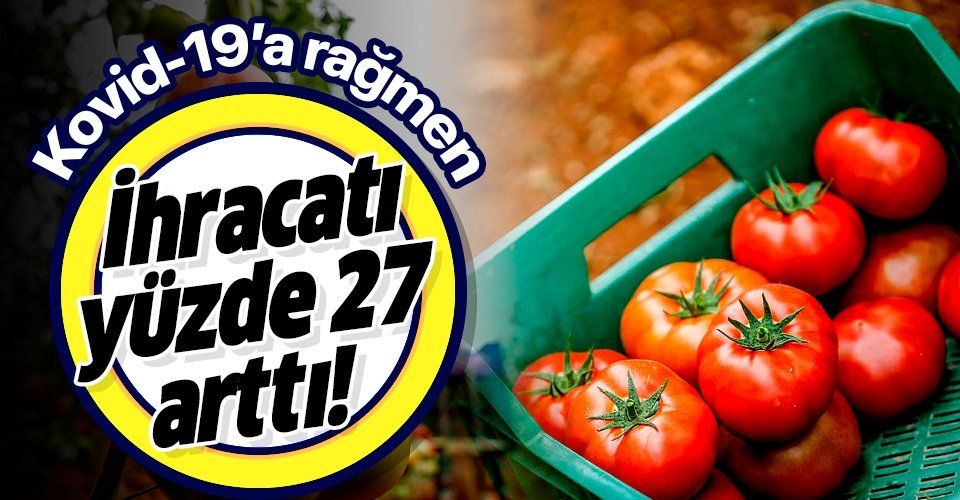Son dakika: Antalya'da yaş sebze meyve ihracatı yüzde 27 arttı