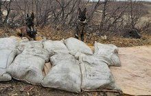 Bingöl'de PKK'ya ait 450 kilo 'amonyum nitrat' ele geçirildi.